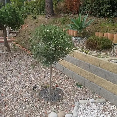 וילה Belvedere *